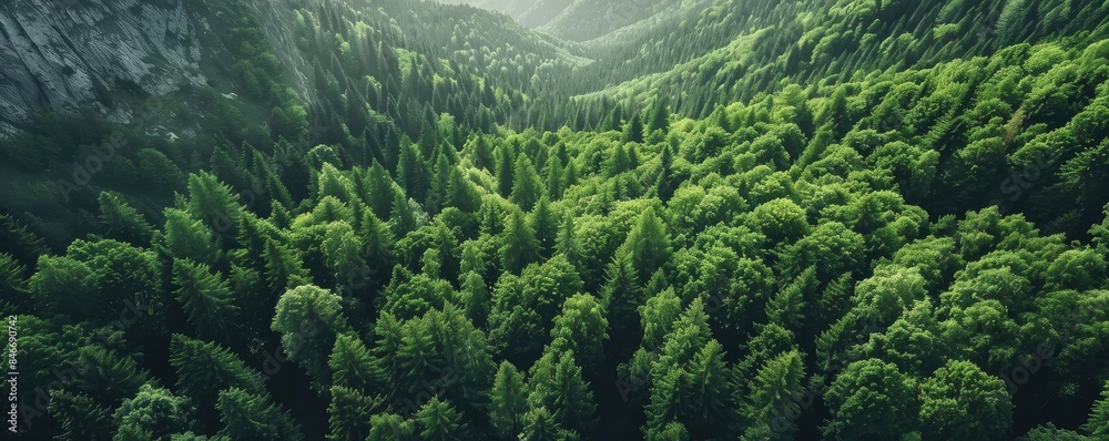 Aerial view of dense green forest and mountains, showcasing lush trees and natural landscape under sunlight, creating a serene and tranquil scene. Aerial view of dense green forest and mountains, showcasing lush trees and natural landscape under sunlight, creating a serene and tranquil scene.