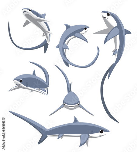 Thresher Shark Poses Cartoon Character