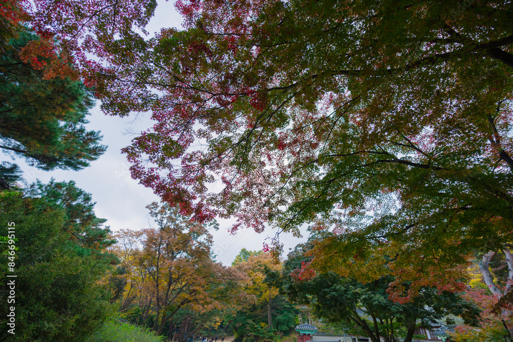 a serene park with diverse, colorful trees under a cloudy sky, showcasing nature’s beauty. A gazebo is nestled amidst the greenery, a serene park with diverse, colorful trees under a cloudy sky, showcasing nature’s beauty. A gazebo is nestled amidst the greenery,