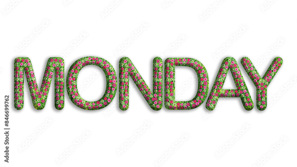 MONDAY, word or text made from flowers, leaves, green grass isolated on transparent background, suitable for template design MONDAY, word or text made from flowers, leaves, green grass isolated on transparent background, suitable for template design