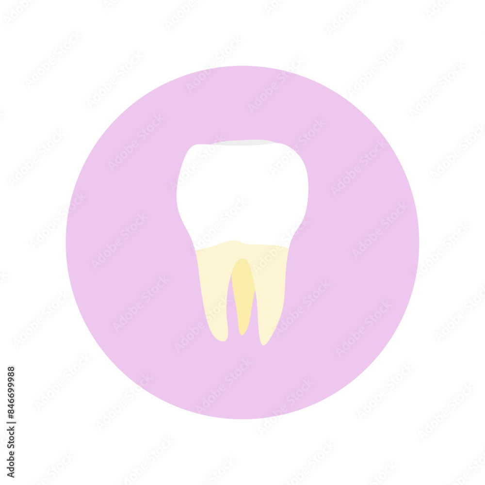 molar teeth flat design vector illustration. Oral medicine, stomatology, dental medicine concepts. White tooth. Modern flat design graphic element. Vector illustration molar teeth flat design vector illustration. Oral medicine, stomatology, dental medicine concepts. White tooth. Modern flat design graphic element. Vector illustration