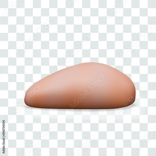 Piece of boneless turkey. Chicken fillet on white background