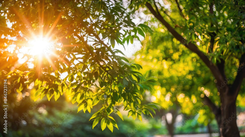 Nature of green leaf in garden at summer. Natural green leaves plants using as spring background cover page environment ecology or greenery wallpaper Nature of green leaf in garden at summer. Natural green leaves plants using as spring background cover page environment ecology or greenery wallpaper