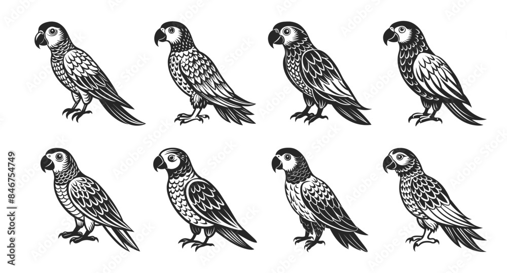 Obraz premium Tropical parrot bird set. Black silhouette on a white background. Engraving, tattoo. Illustration