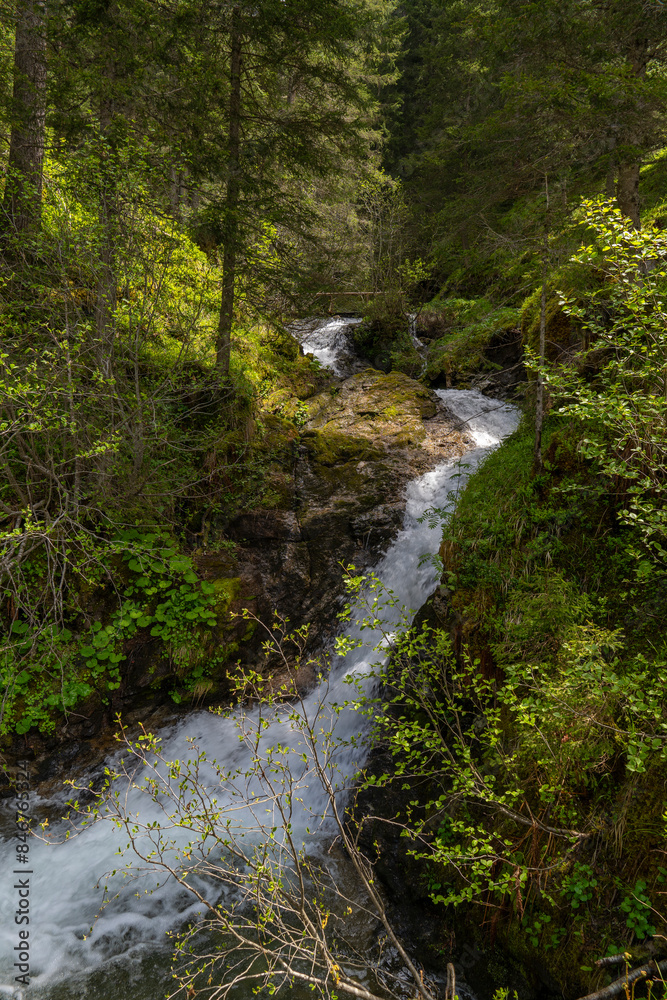 White water in the mountains, river rushes down between rocks through the forest into the valley. Meltwater and heavy rains bring a lot of water into the stream. landscape in hiking area White water in the mountains, river rushes down between rocks through the forest into the valley. Meltwater and heavy rains bring a lot of water into the stream. landscape in hiking area