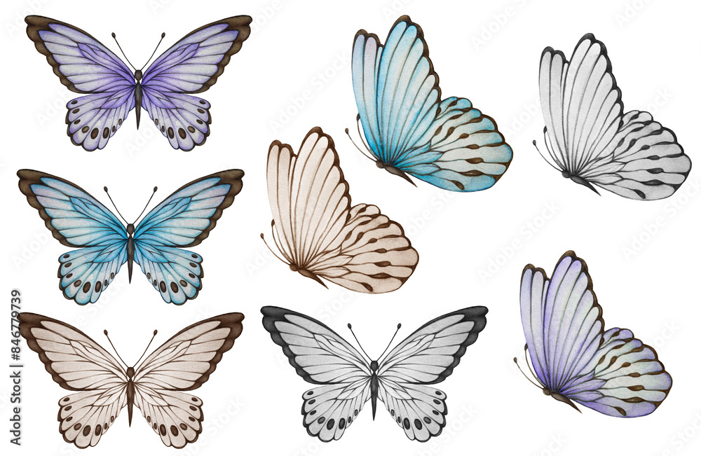 Watercolor Lavender Clipart illustrations set Watercolor Lavender Clipart illustrations set