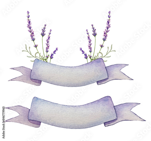 Watercolor Lavender Clipart illustrations set  