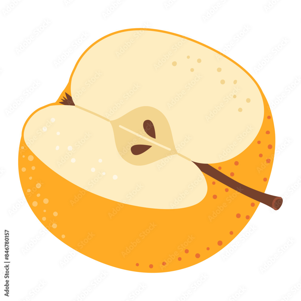Cut yellow apple cartoon icon. Cross section of cut apple, slices fruit, Hand drawn trendy flat style isolated on transparent background. cut apple for design, infographic. Vector illustration Cut yellow apple cartoon icon. Cross section of cut apple, slices fruit, Hand drawn trendy flat style isolated on transparent background. cut apple for design, infographic. Vector illustration