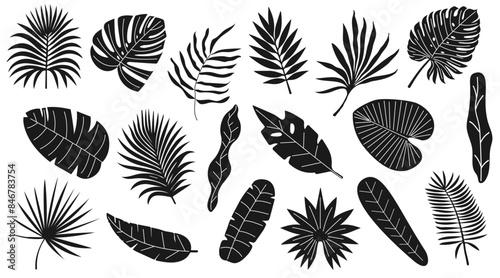 Set of tropical and palm leaves. Silhouettes black branches, leaves in minimalist flat style. Hand drawn vector illustration. Exotic design with leaves on white background.