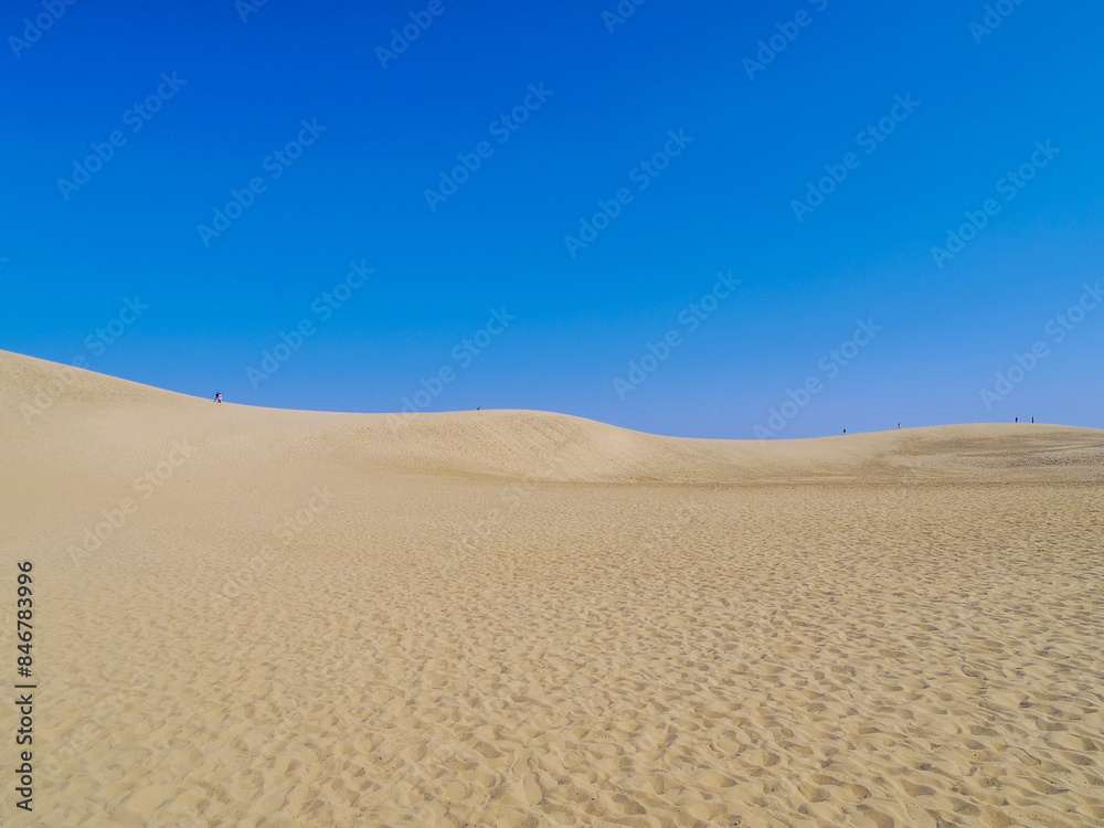 Naklejka premium 【鳥取県】鳥取砂丘