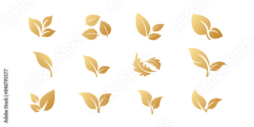 Leaf gold icons set 