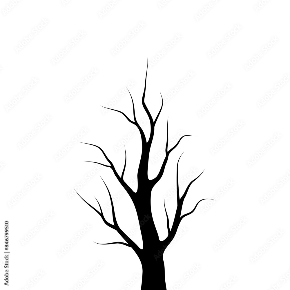 Fototapeta premium Bare Tree Silhouette