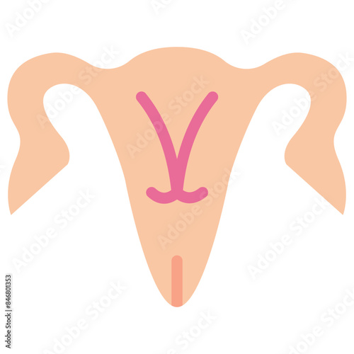 ovaries flat icon