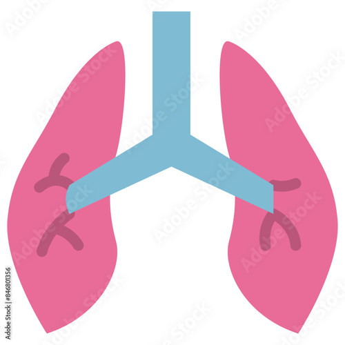 lungs flat icon
