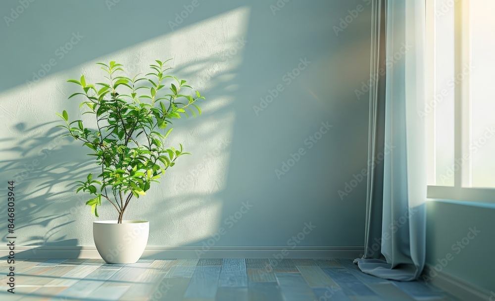 A peaceful indoor scene with a potted plant, curtains and sunlight. A peaceful indoor scene with a potted plant, curtains and sunlight.