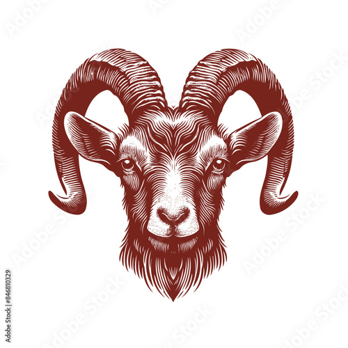 goat head Vector, goat vector illustration, goat head emblem design, Goat silhouette