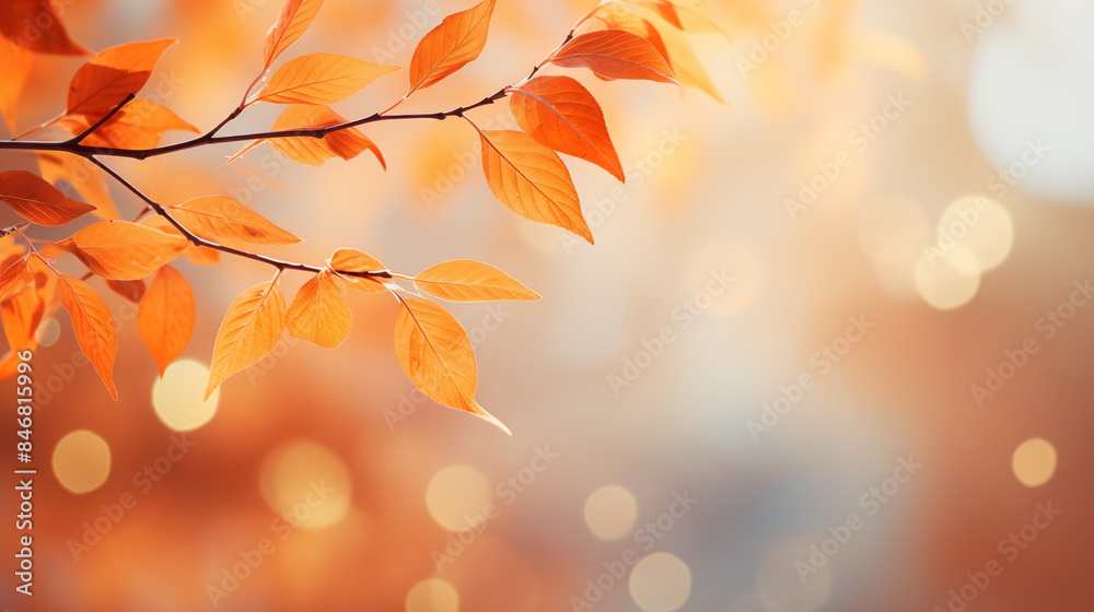 Orange maple leaves on a branch with bokeh in the background. Orange maple leaves on a branch with bokeh in the background.