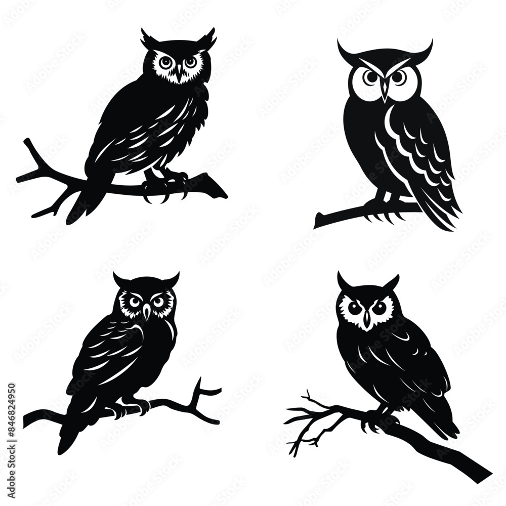 Fototapeta premium set of owl