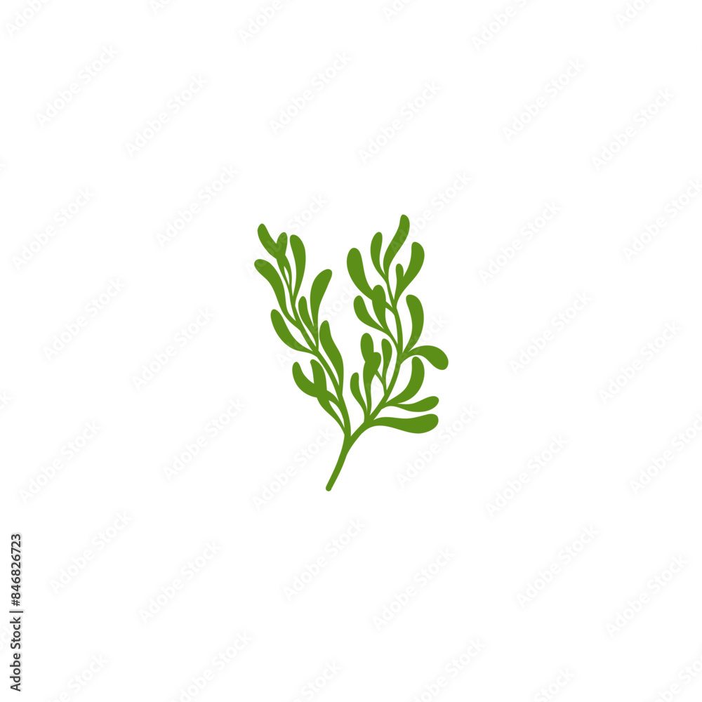 Rosemary Branch Icon Illustration Rosemary Branch Icon Illustration