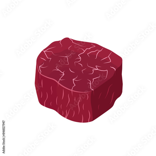 filet mignon vector. Raw beef vector.