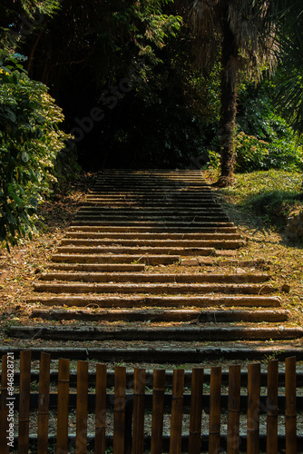 stairs in the forest