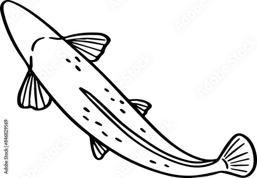 top view fish drawing.