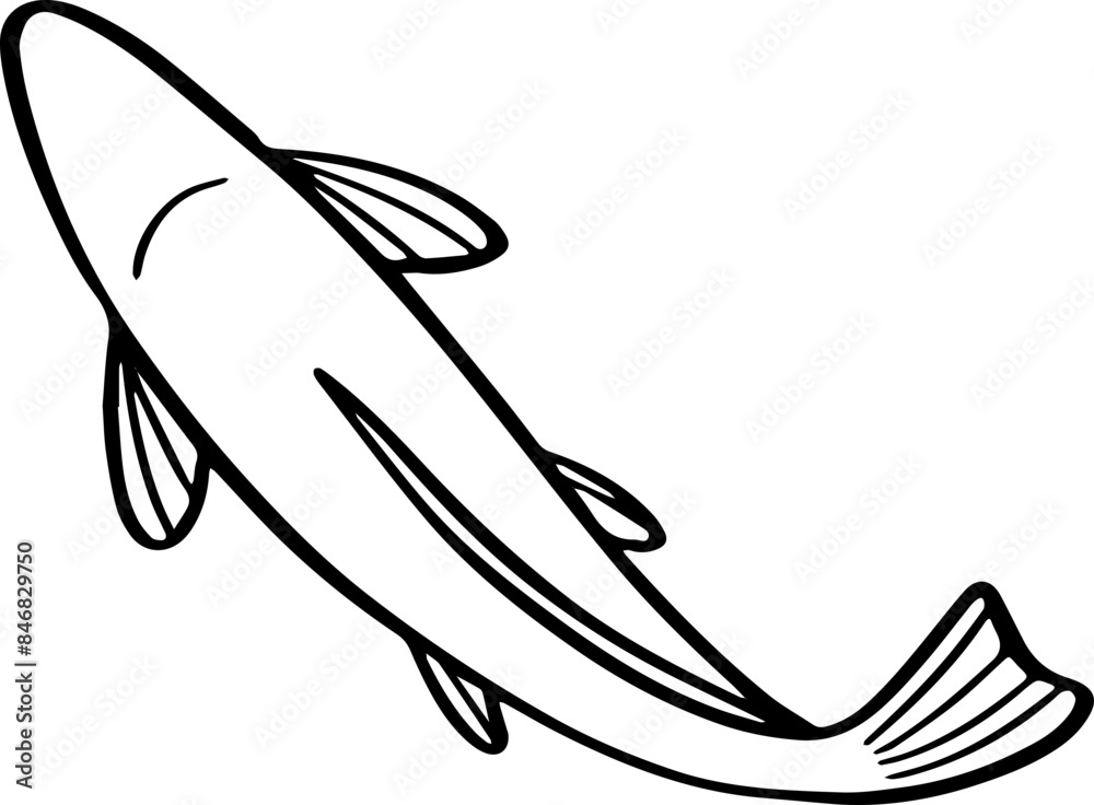 top view fish drawing. top view fish drawing.
