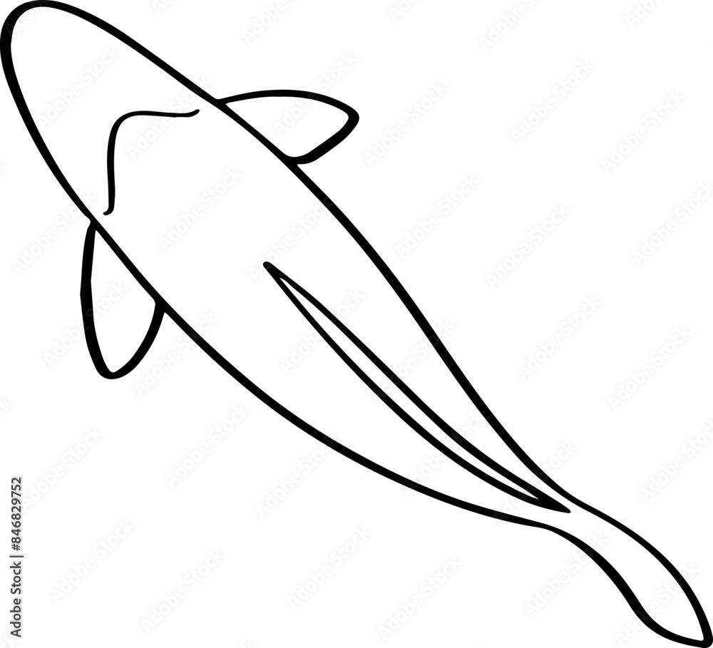 top view fish drawing. top view fish drawing.