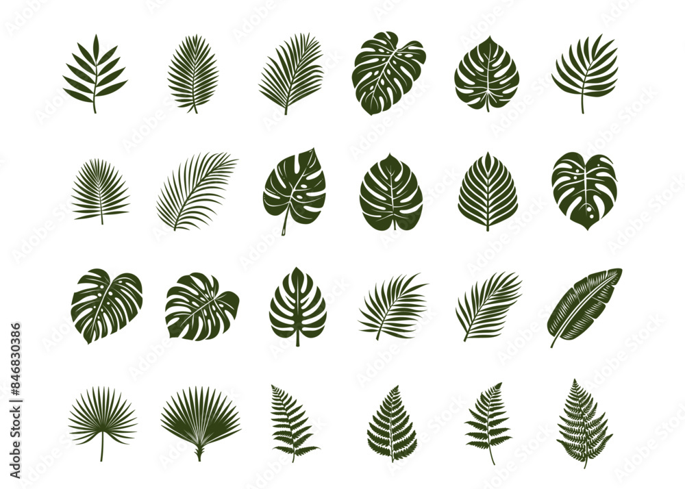 Tropical leaves vector elements Tropical leaves vector elements