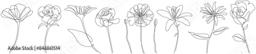Flowers isolated illustration collection.  Wildflowers abstract simple minimalist art set continuous line drawing.