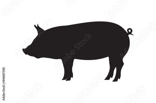 Pig on a white, pig silhouette vector illustration white background 