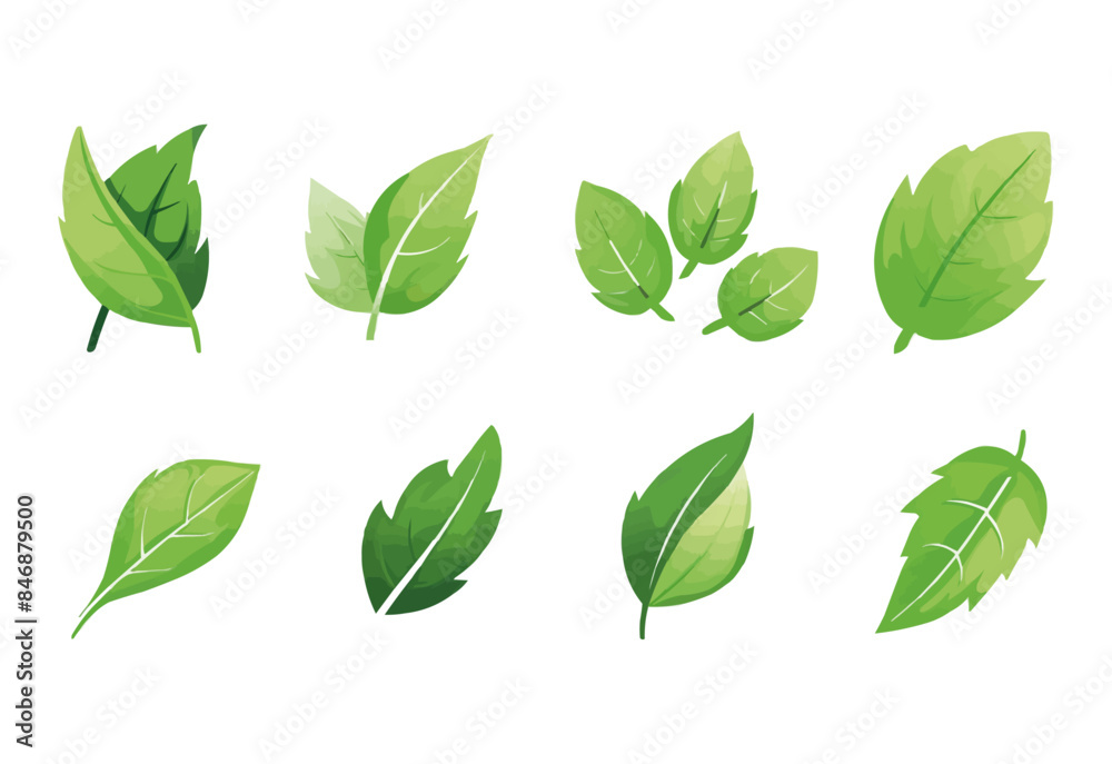 Fototapeta premium vector set of different isolated green leaves icon white background 
