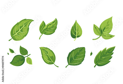 vector set of different isolated green leaves icon white background 