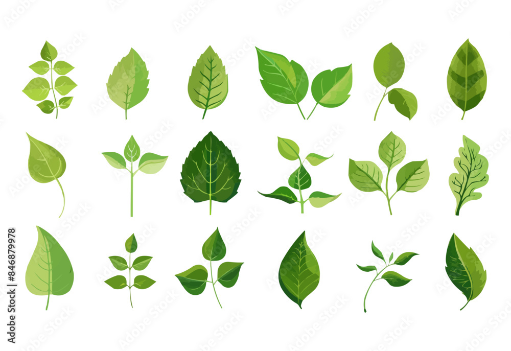 vector set of different isolated green leaves icon white background vector set of different isolated green leaves icon white background