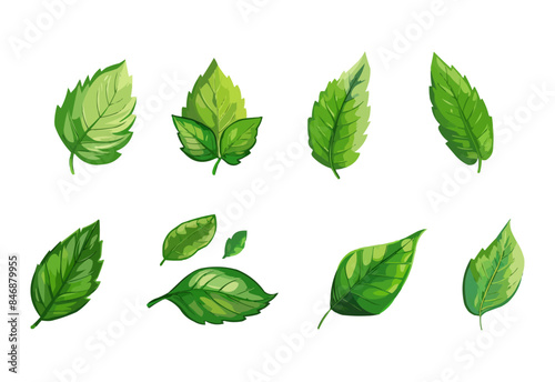 vector set of different isolated green leaves icon white background 