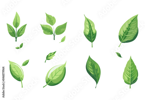 vector set of different isolated green leaves icon white background 