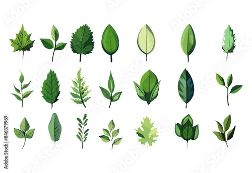 vector set of different isolated green leaves icon white background 