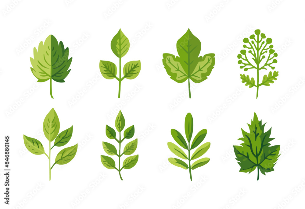 vector set of different isolated green leaves icon white background 