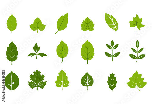 vector set of different isolated green leaves icon white background 