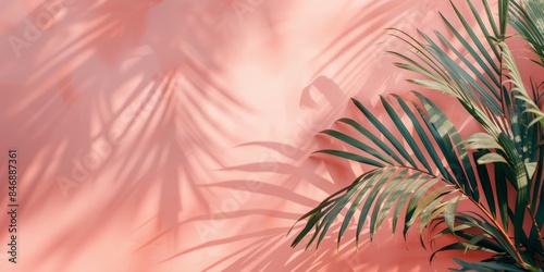 Tropical palm leaves casting shadows on a pink wall,free space for text © Roza