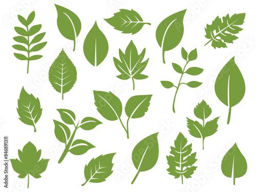 Flat green leaves collection.Vector illustration