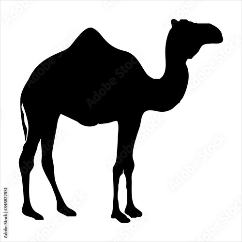 Camel silhouettes vector camel silhouette arab camel islamic animal  Illustrator Artwork