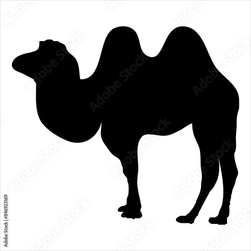 Camel silhouettes vector camel silhouette arab camel islamic animal Adobe Illustrator Artwork