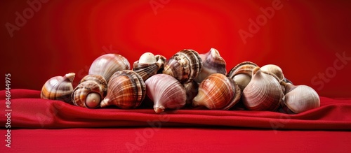 Heap of assorted shells res...