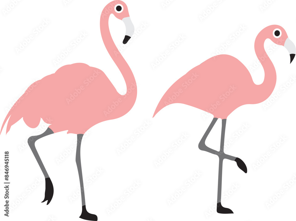 Obraz premium flamingo illustration on white background 