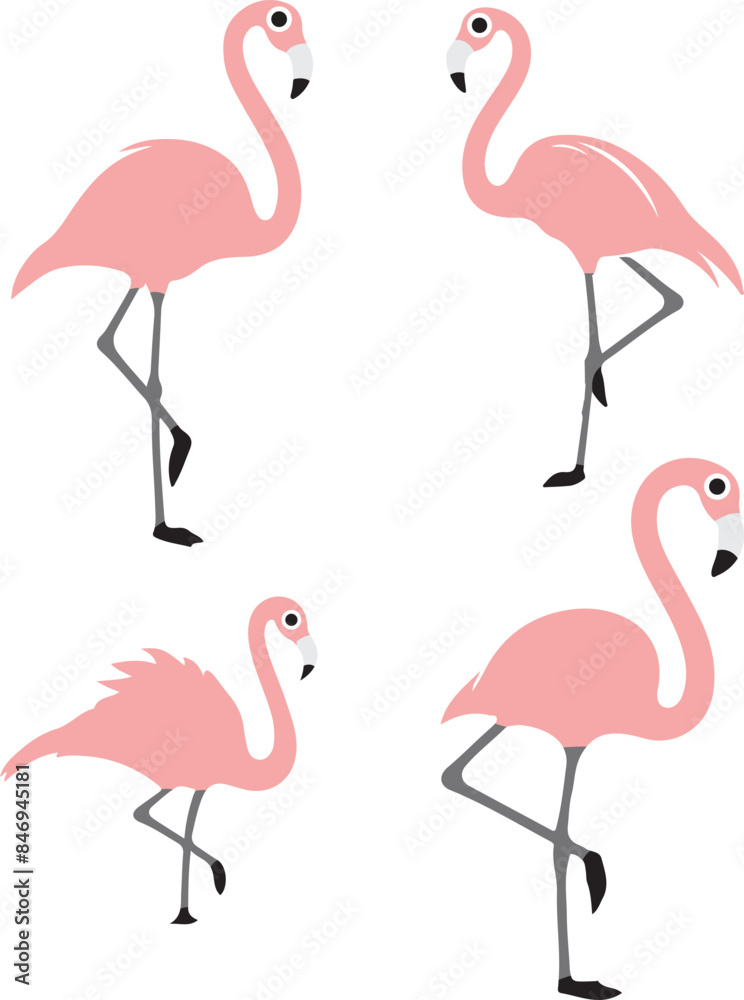 Obraz premium flamingo illustration on white background 