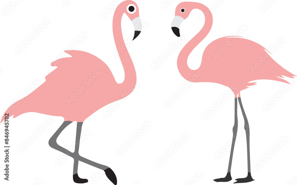 Obraz premium flamingo illustration on white background 
