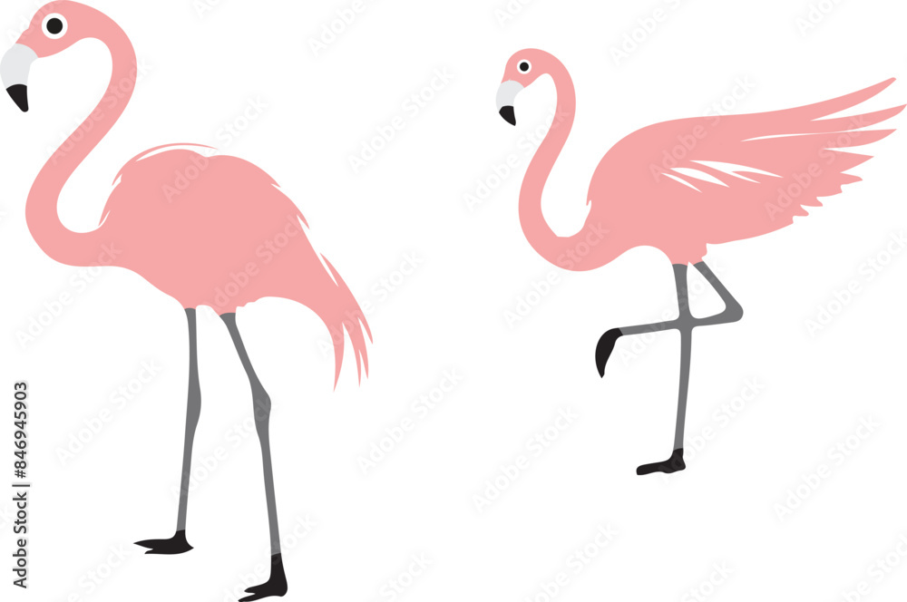 Obraz premium flamingo illustration on white background 