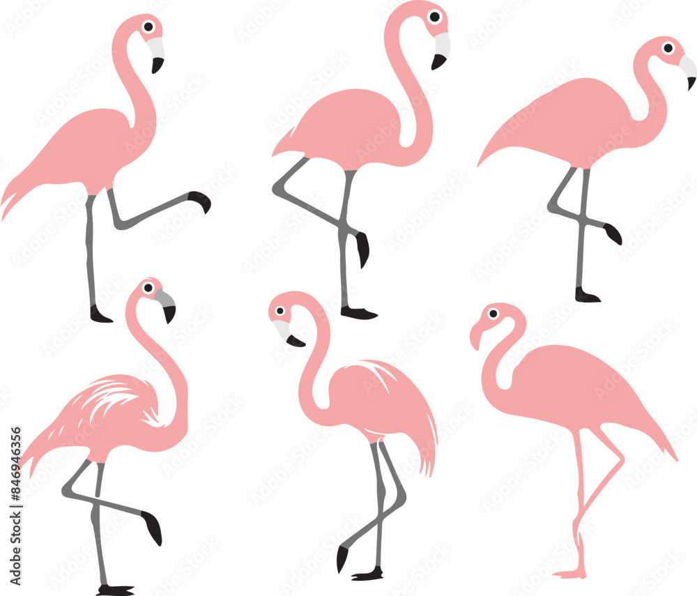 Obraz premium set of flamingo