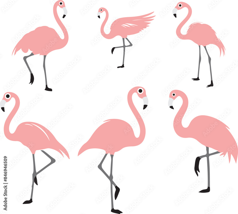 Fototapeta premium pink flamingo isolated on white 